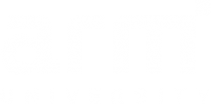 Service Channel IVR | ARM University